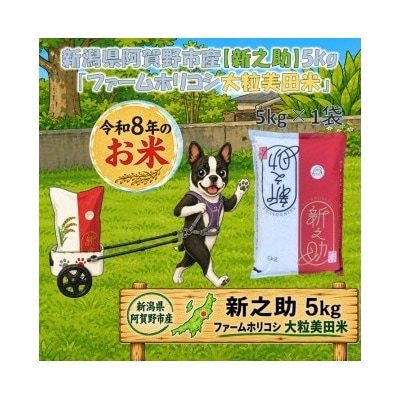 【令和8年産新米先行受付】阿賀野市産新之助「ファームホリコシ 新之助」5kg 白米 精米  