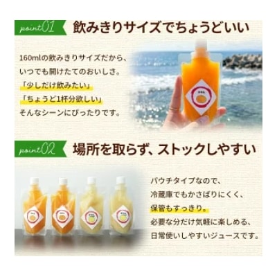 <100%ストレートジュース パウチタイプ160ml×20個+パウチゼリー165g2個