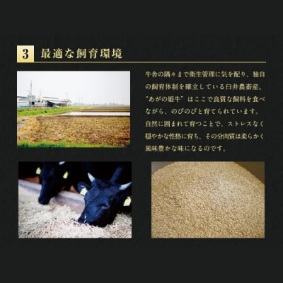 【6か月定期便】あがの姫牛コース 毎月違うお肉をお届け 計3.2kg
