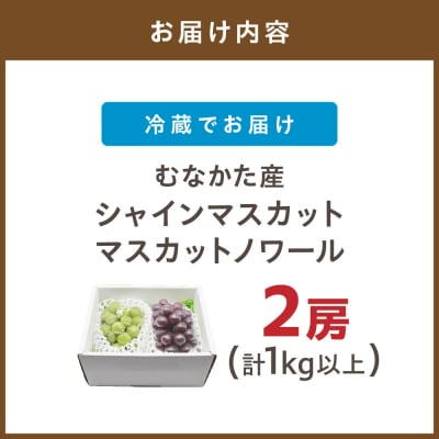 【先行予約】厳選【むなかた産シャインマスカット・マスカットノワール】2房_AS1475-00