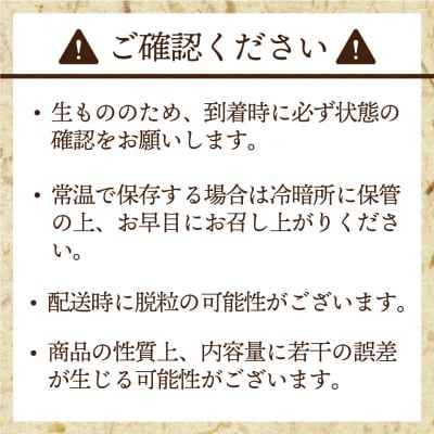 【先行予約】厳選【むなかた産シャインマスカット・マスカットノワール】2房_AS1475-00
