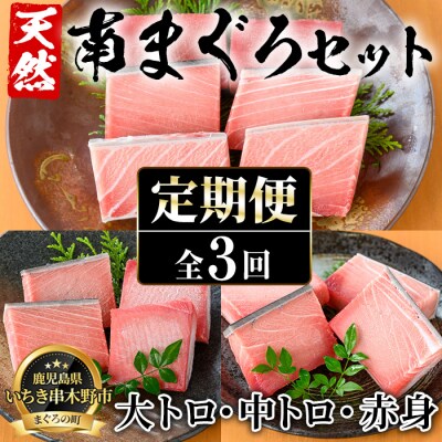 【3か月定期便】極上天然南まぐろ贅沢コース