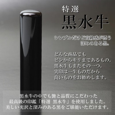 【実印や銀行印に使用可能】高級 黒水牛 チタンケース付き1本セット