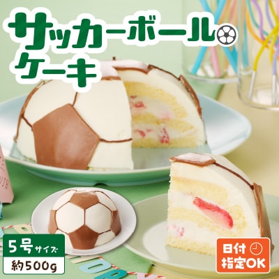 【いちごのバースデーケーキ】日時指定可　サッカーボールケーキ　[125L03]
