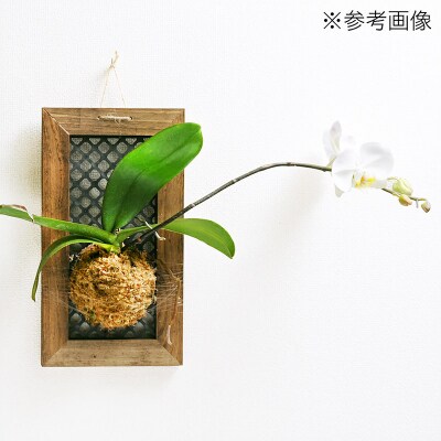 ハンギングボード 縦型 小 壁掛け ウッドフレーム|09_chm-cq0101aa