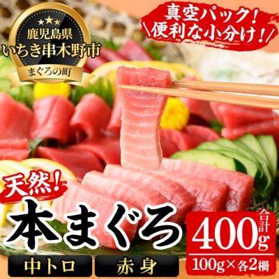天然 本マグロ 中トロ 100g×2 赤身 100g×2 計400g 便利な真空小分け