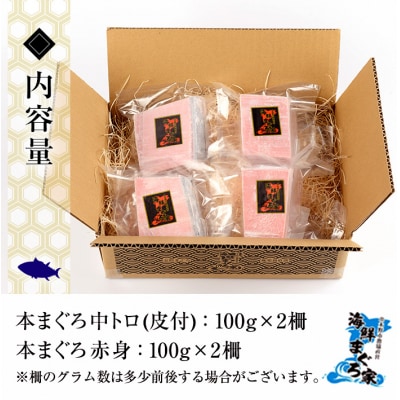 天然 本マグロ 中トロ 100g×2 赤身 100g×2 計400g 便利な真空小分け
