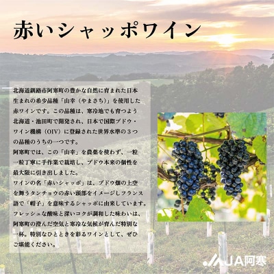 赤いシャッポワイン×2 赤ワイン 北海道産 ワイン プレミアム セット 酒 北海道 F4F-3145