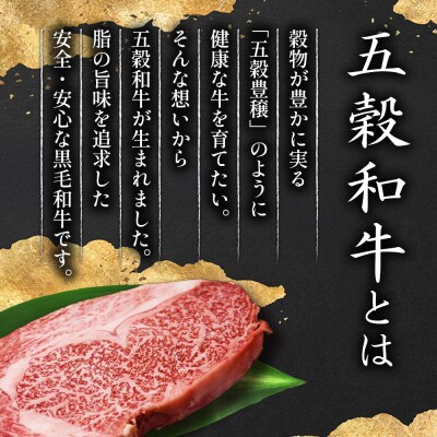 五穀和牛 サーロインステーキ 約900g|09_ozr-010301