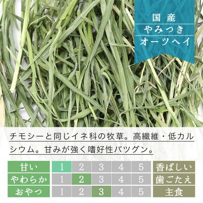 国産 やみつきオーツヘイ(えん麦)1kg|09_chm-180101