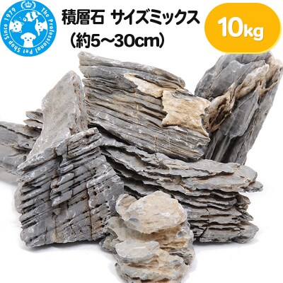 積層石 サイズミックス(約5～30cm)10kg|09_chm-320101