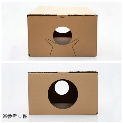 NEKO& 猫ハウスになるダンボール ダチョウの羽根の猫じゃらしセット|09_chm-c10101