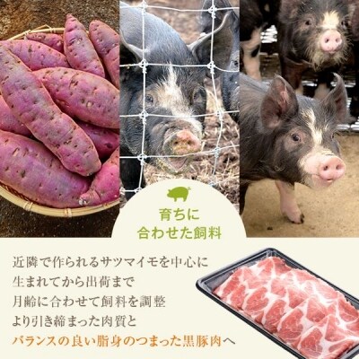 黒豚味噌漬けとロースの肉厚切りのセット ss2258