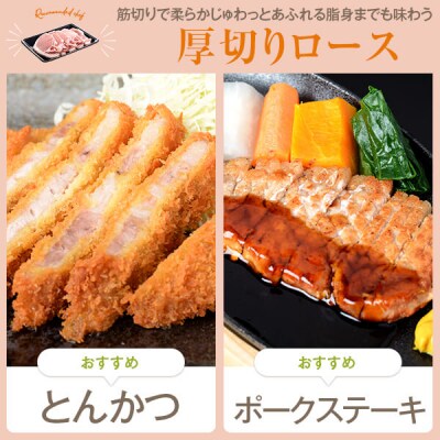 かごしま黒豚”ロース”の極みセット ss2259