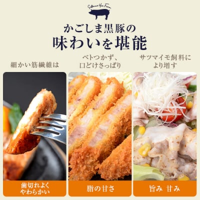 かごしま黒豚ロース3kgセット (しゃぶしゃぶ用・焼肉用・とんかつ用 各500g×2) ss0069