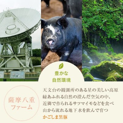かごしま黒豚ロース3kgセット (しゃぶしゃぶ用・焼肉用・とんかつ用 各500g×2) ss0069