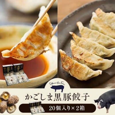 黒豚餃子2箱 ss0178