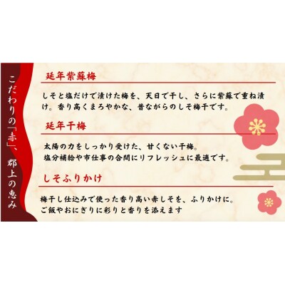 郡上延年梅セット
