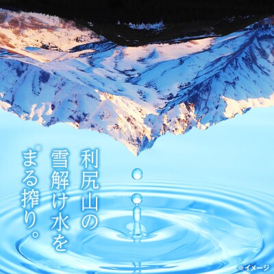 天然ケイ素水 リシリア(500ml×48本・2L×6本)