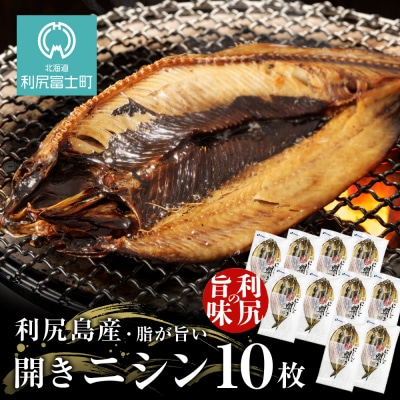 利尻島産 開きニシン10枚＜利尻漁業協同組合＞