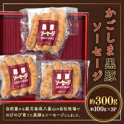 かごしま黒豚ソーセージ 約300g(約100g×3パック)　ss0572