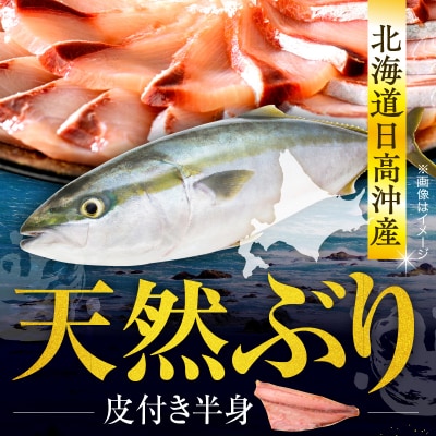 えりも【マルデン特製】北海道日高産ぶり半身1kg以上【er002-076-a】