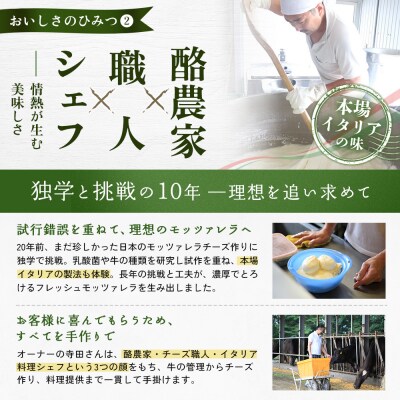 モッツァレラチーズ4個入セット(冷凍)