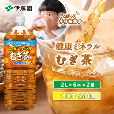『定期便:全11回』健康ミネラルむぎ茶2L×6本×2箱