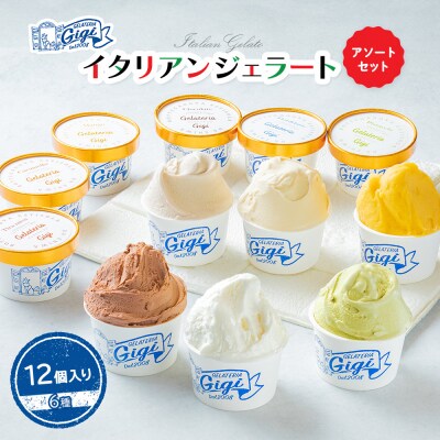 ジェラテリアGigiのイタリアンジェラート6種12個入アソートカップサイズ