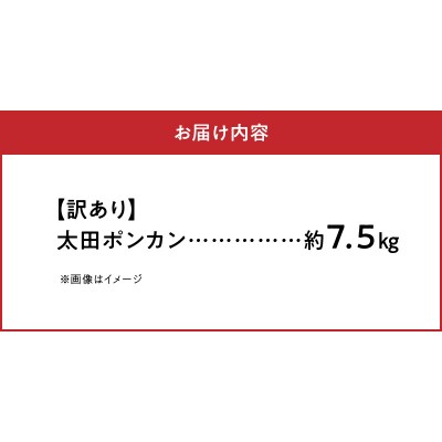 〈先行受付〉訳あり 農家の手摘み 太田 ポンカン約7.5kg_S040-012A