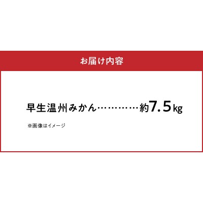 〈先行受付〉農家の手摘み 完熟早生温州みかん 約7.5kg_S040-021A