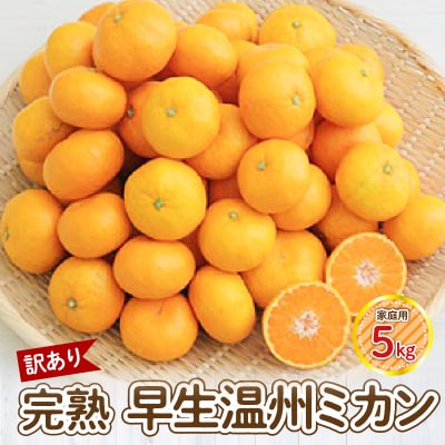 【訳あり】完熟早生温州ミカン 家庭用5kg_S040-026