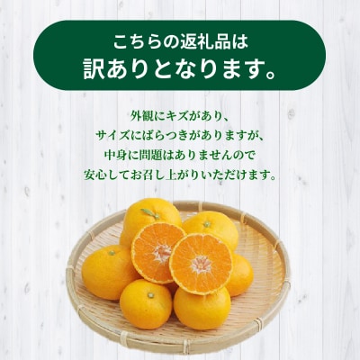【訳あり】完熟早生温州ミカン 家庭用5kg_S040-026