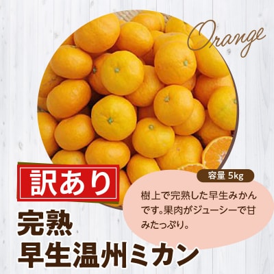 【訳あり】完熟早生温州ミカン 家庭用5kg_S040-026