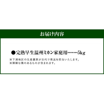 【訳あり】完熟早生温州ミカン 家庭用5kg_S040-026