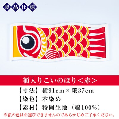 額入りこいのぼり【赤色】