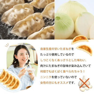 淡路島たまねぎたっぷりジューシー餃子 100個(20g×20個×5PC)　ai01144