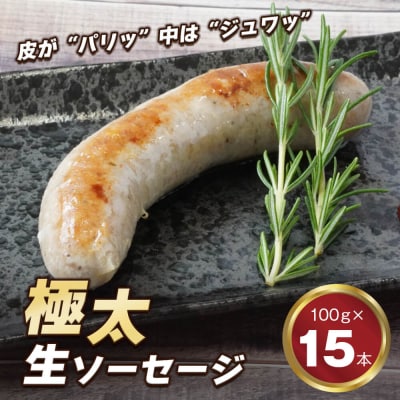 生ポークソーセージ 100g×15本入り　ao05129