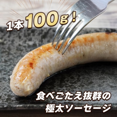 生ポークソーセージ 100g×15本入り　ao05129