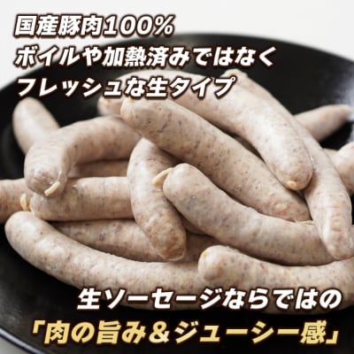 生ポークソーセージ 100g×15本入り　ao05129