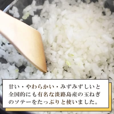 淡路オニオンカレーソース(レトルト)180g×16食セット レトルトカレー 中辛　ao05128