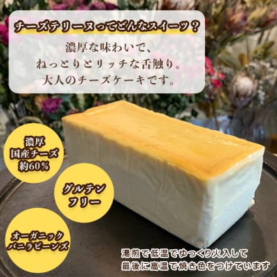 淡路島チーズテリーヌ 580g　ap06050