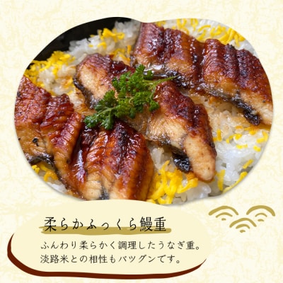 謹製 淡路牛と島玉葱・彩り野菜のステーキ重・ふっくら鰻重(淡路産コシヒカリ使用)　as24007