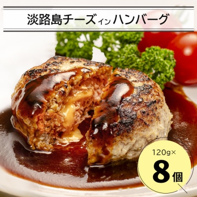 淡路島チーズインハンバーグ 120g×8個　an07056