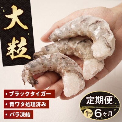 【定期便6ヶ月】至福の大粒むきえび 背ワタ処理済 1kg　ao10023
