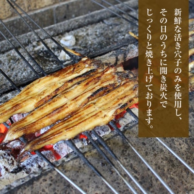 ふわとろあなご丼の素 100g×2　aa54004