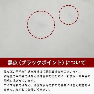 140×190cm 小さめ羽毛ふとん 0.6kg入 セミシングル ふわかる1406　ao12076