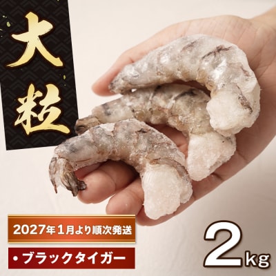 至福の大粒むきえび 背ワタ処理済2kg(1kg×2袋)【2027年1月より順次発送】　ao10030