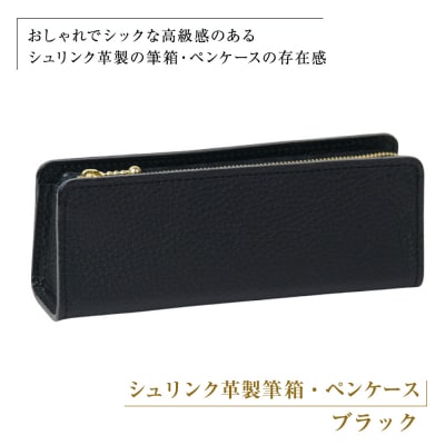 シュリンク革製筆箱・ペンケース(ブラック)　ay10690