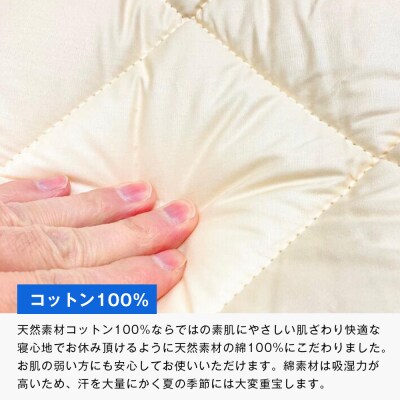 インビスタ ダクロン サポート 清潔シングル 無地 固わた入 しっかり敷ふとん　ao12097